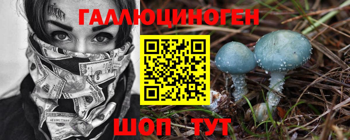 Дмитров  Галлюциногенные грибы прущие грибы  Псилоцибиновые грибы Cubensis  Вход с VPN 