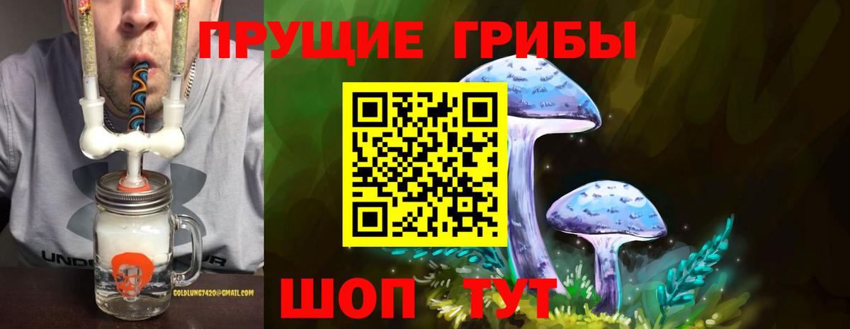 Галлюциногенные грибы GOLDEN TEACHER Дмитров
